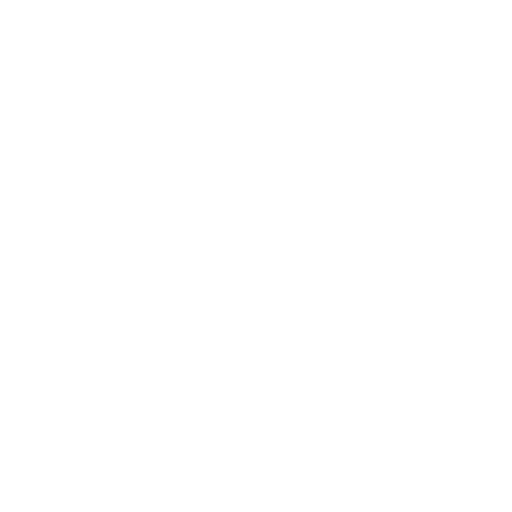 Detail-Oriented Icon