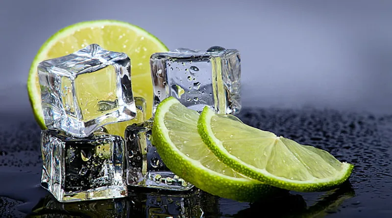 clean a garbage disposal with ice and citrus peels