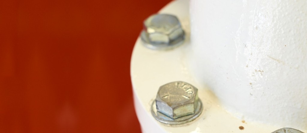 Toilet Bolts